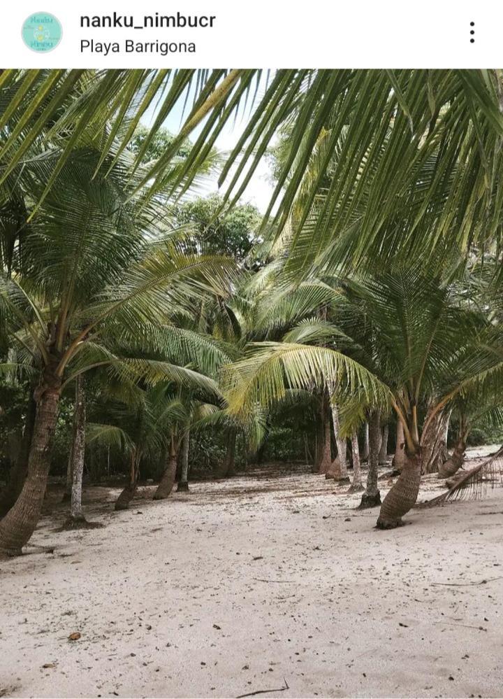 Apartmán Nanku Nimbu Casa-Bus Equipada Cerca De Playas Sámara Exteriér fotografie